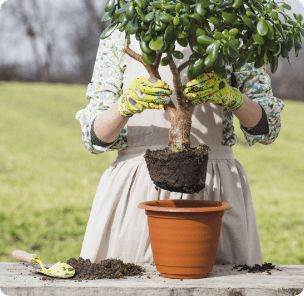portrait-woman-gardening-1