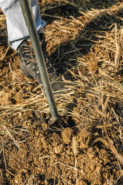 depositphotos_316889322-stock-photo-soil-sampling-female-agronomist-taking